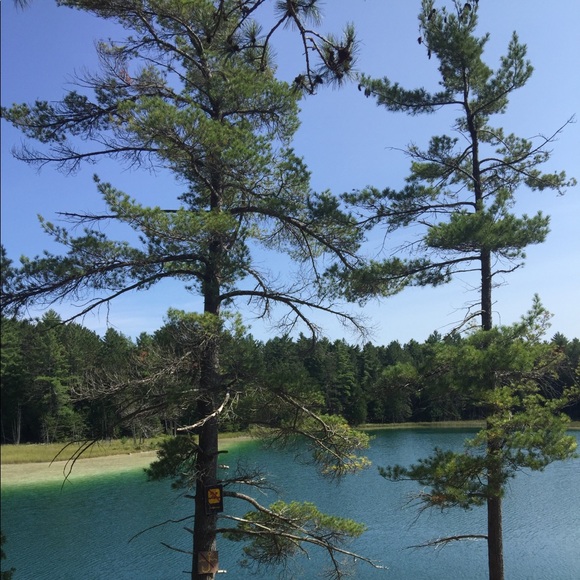 Meet your Posher, Stephanie - Picture 1 of 1